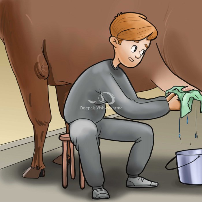 Children's book illustration of a farmhand milking a cow by hand